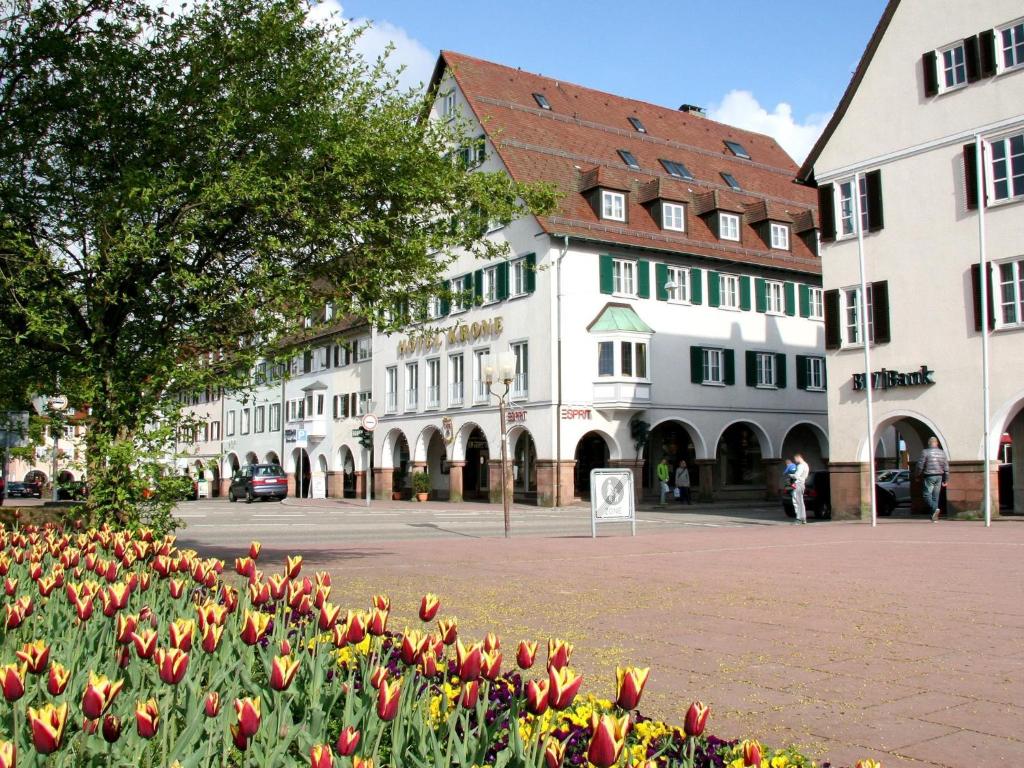 a group of buildings with flowers in a courtyard at Hotel Krone in Freudenstadt