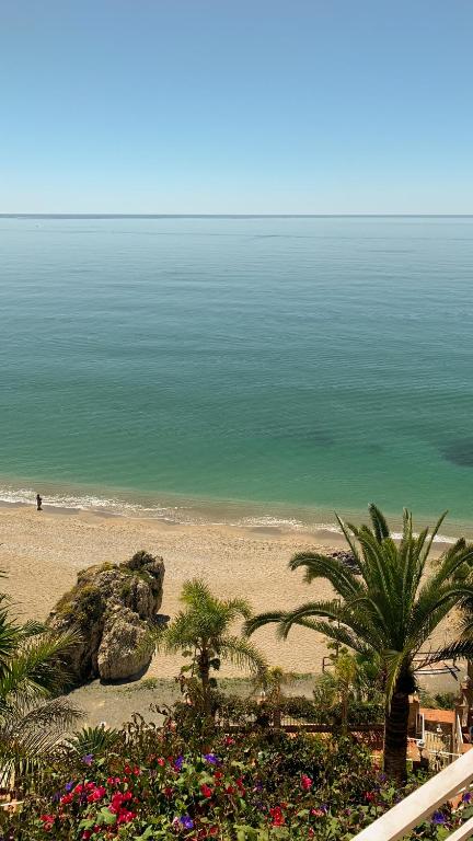 a view of a beach with palm trees and the ocean at Hotel Paraíso Del Mar in Nerja