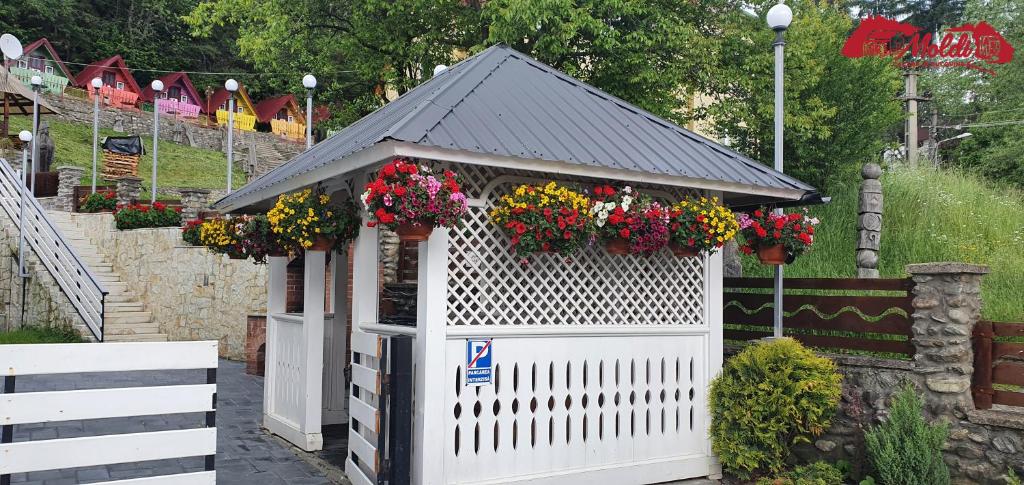 Cazare Moldi Btt - Double Room With Private Bathroom