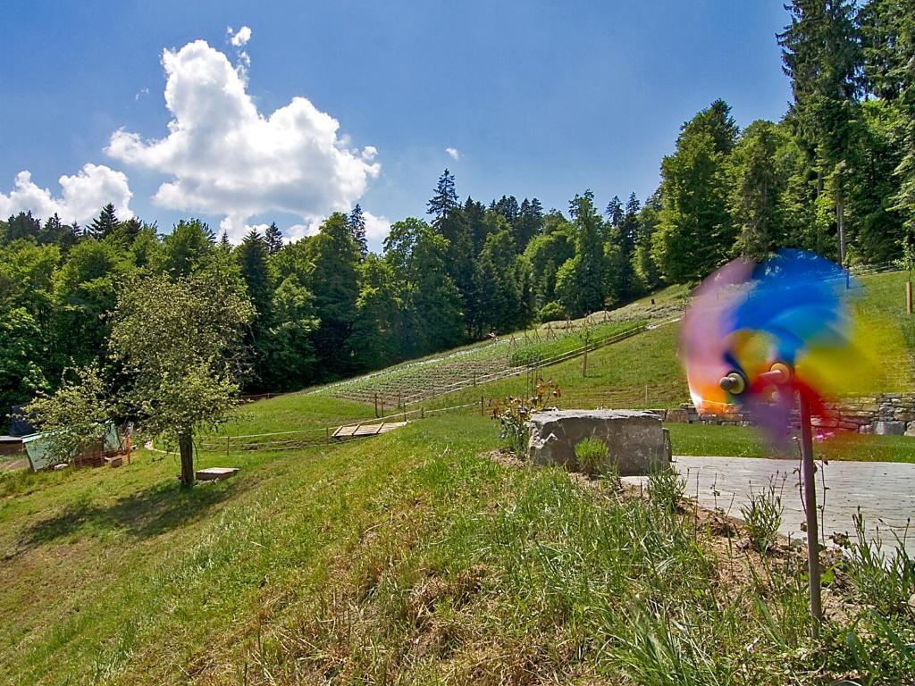 Příroda nedaleko apartmánu