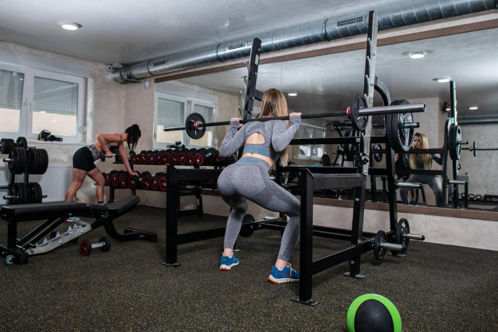 Fitness centrum a/nebo fitness zařízení v ubytování Apartman Lux
