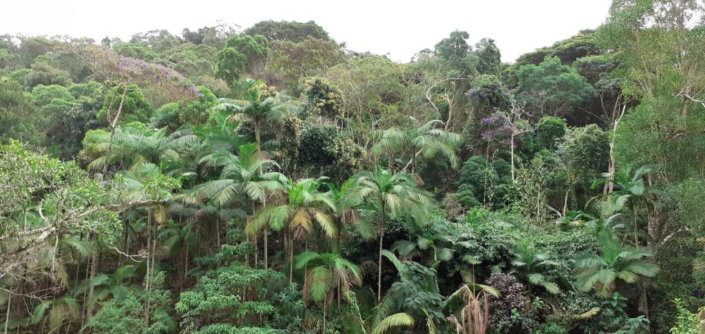  Canto do Riacho Suites