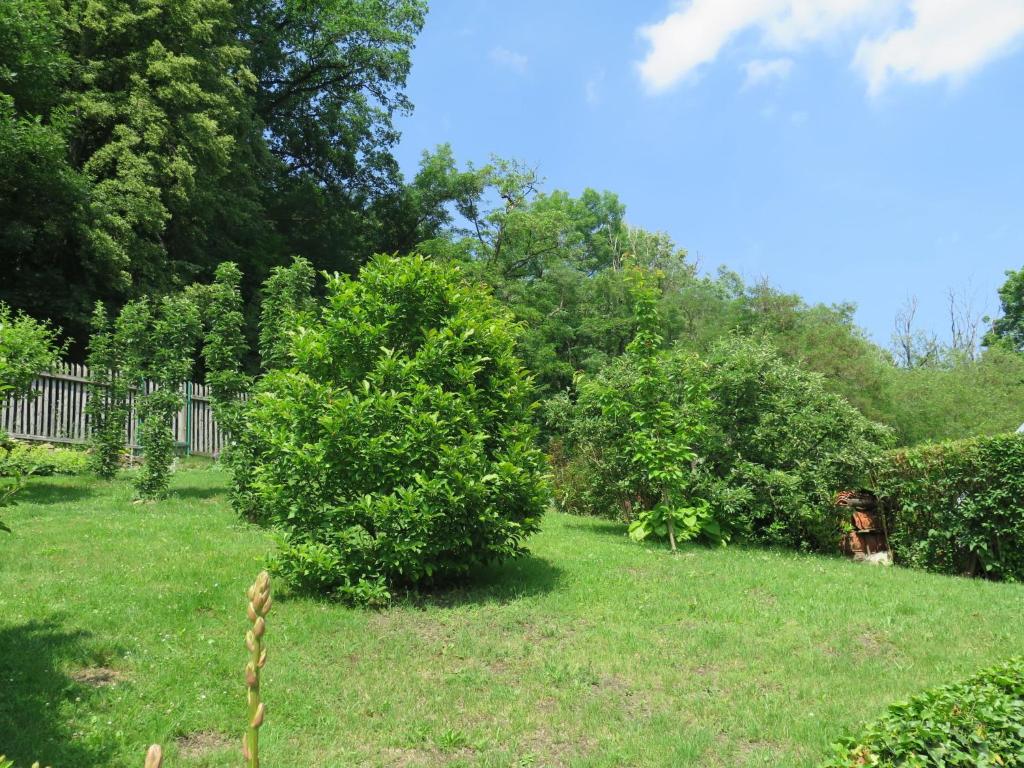 Zahrada ubytování Holiday Home Parkany 1 by Interhome