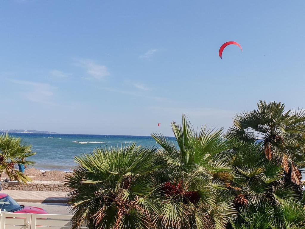 een uitzicht op een strand met palmbomen en de oceaan bij Apartment Lerins by Interhome in Cannes