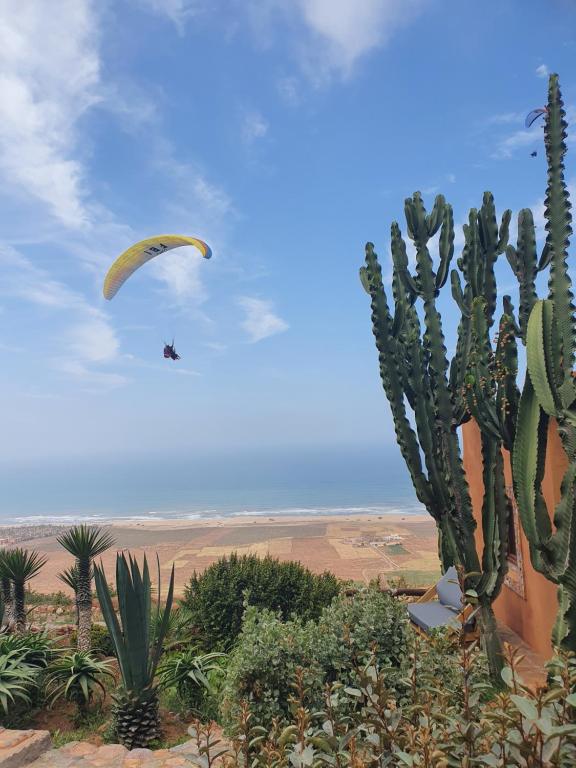 a paraglider flying in the sky over a cactus at Le Nid d'Aigle in Mirleft