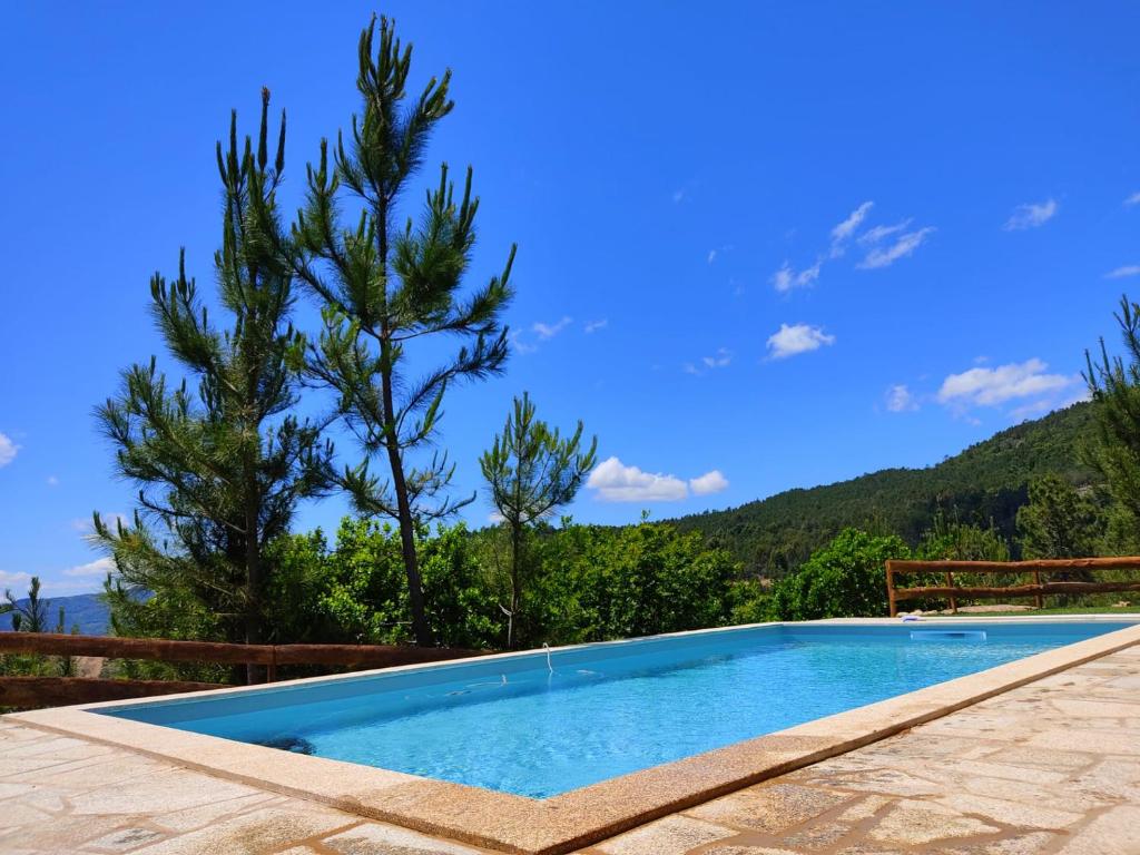 una piscina con un árbol en el fondo en Casa do Vale - Casa da Montanha - Gerês, en Gerês
