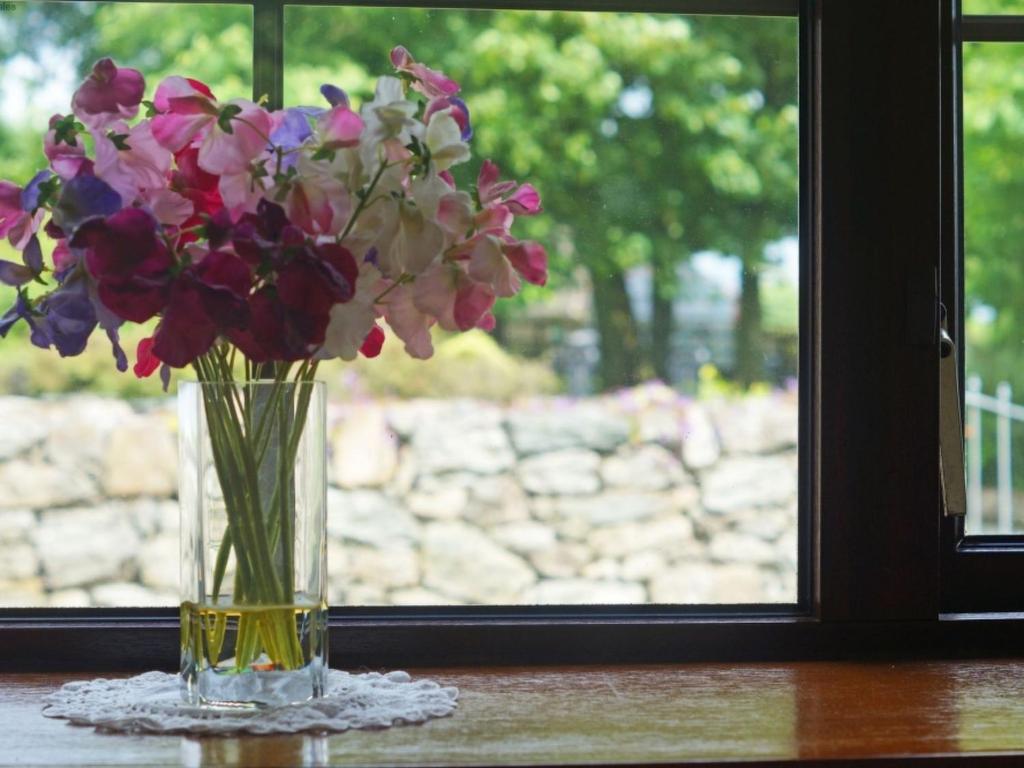 サンヴァイルプスグィンガスにあるHoliday Home Hyfrydle by Interhomeの窓際のテーブルに座る花瓶