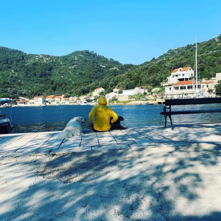 a person sitting on a dock with a dog at Apartment Nikki in Maranovići