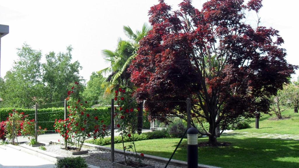 Zahrada ubytování Albergo Residence Isotta
