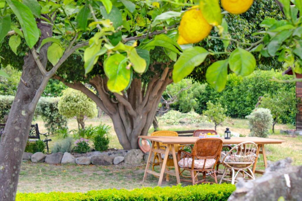 Zahrada ubytování La Casa di Lina - Capo d'Orlando, casa con ampio giardino