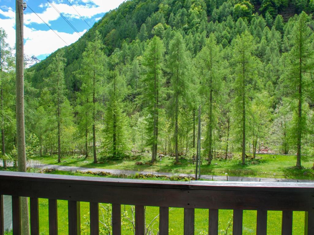 Příroda nedaleko apartmánu