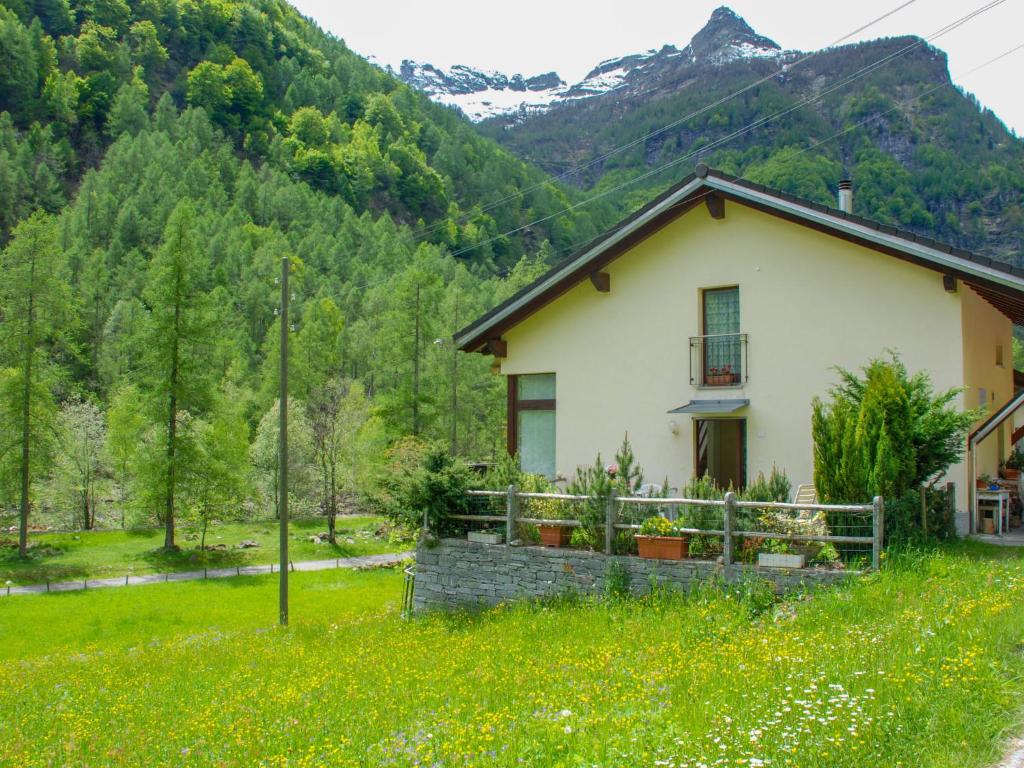 Příroda nedaleko apartmánu