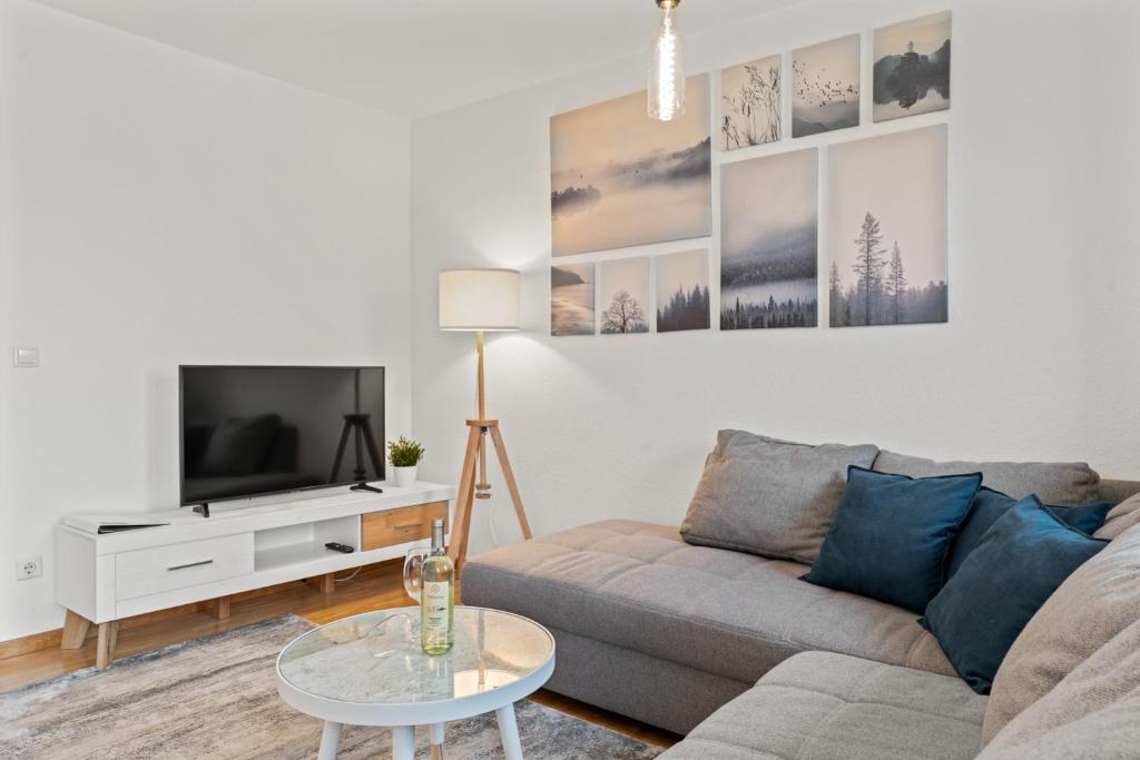 uma sala de estar com um sofá e uma televisão em TTP Apartment 6 Friedrichshafen em Friedrichshafen