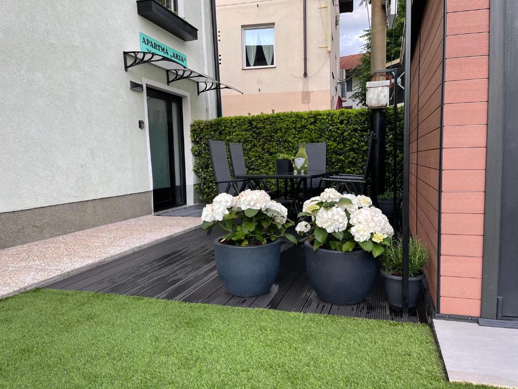 Zahrada ubytování Apartment Aria