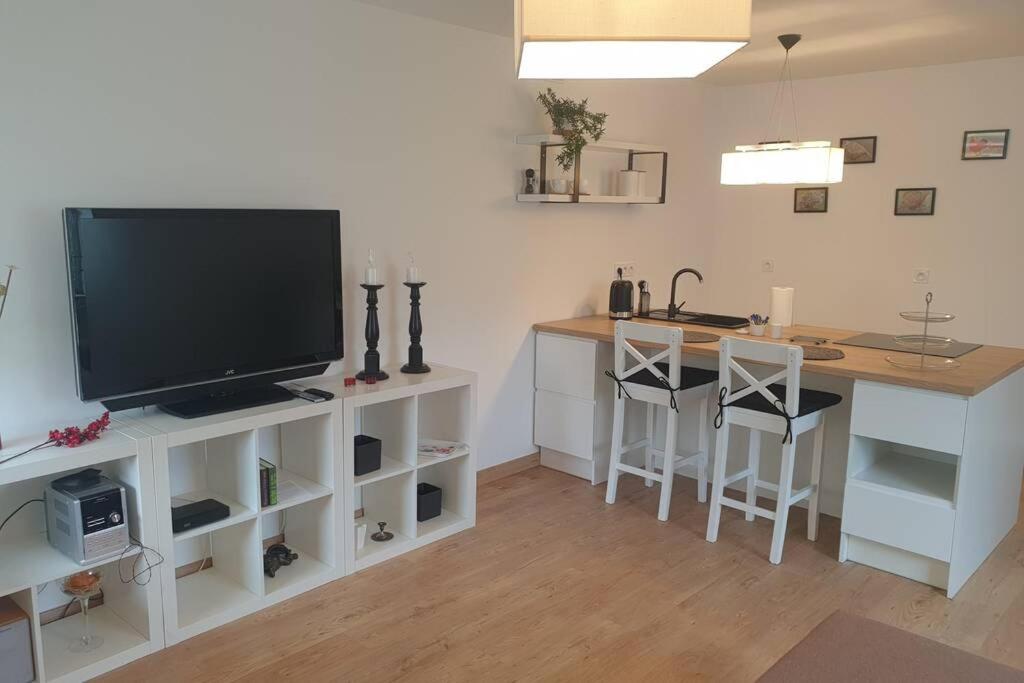 Televízia a/alebo spoločenská miestnosť v ubytovaní Apartament przy samym jeziorze