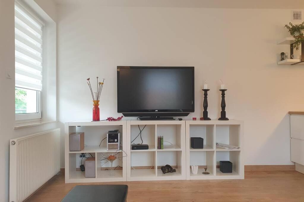 Televízia a/alebo spoločenská miestnosť v ubytovaní Apartament przy samym jeziorze