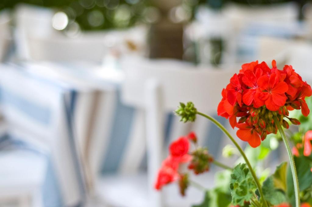 Posezení v ubytování Hotel Rugantino