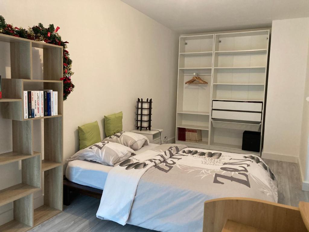 ein Schlafzimmer mit einem Bett und einem Bücherregal in der Unterkunft Chambres chez l'habitant Hermès à Blagnac in Blagnac