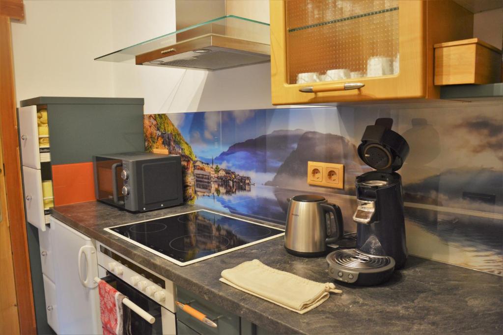 Kuchyň nebo kuchyňský kout v ubytování Haus Franziska