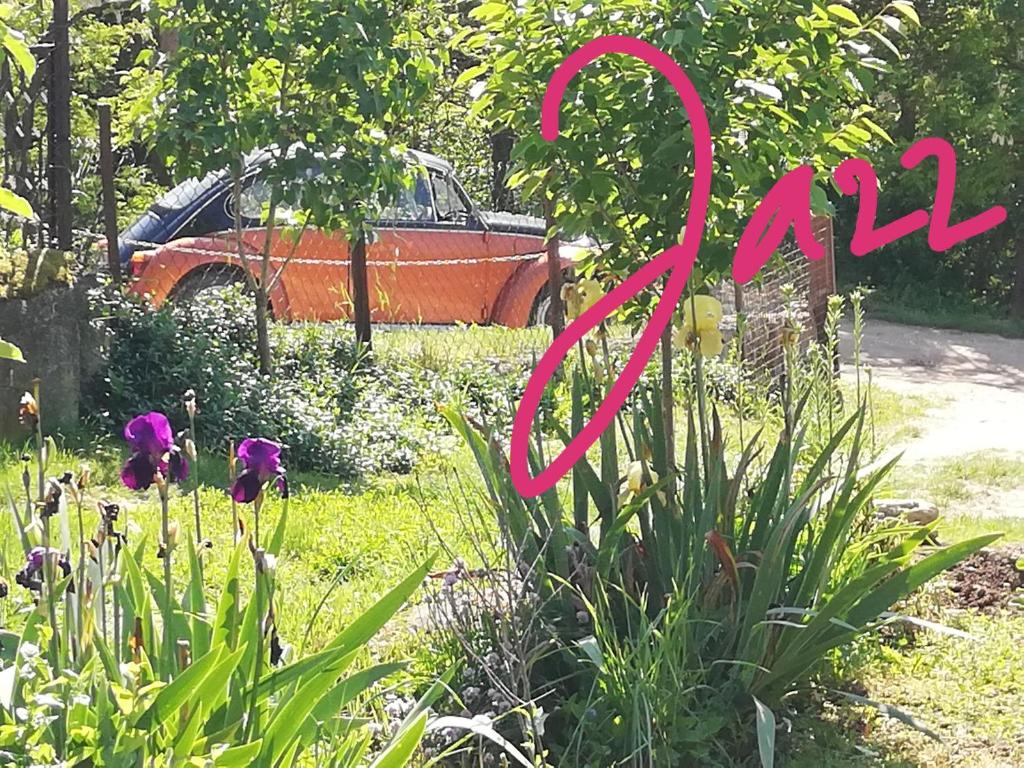 A garden outside Apartment Jazz