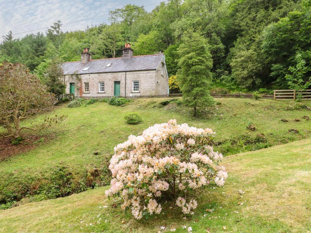 an old house on a hill with a bush of flowers at 2 Tayness in Kilmartin