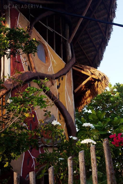 バーハ・グランデにあるRaízes Eco Hostelの側面に植物が植えられた建物