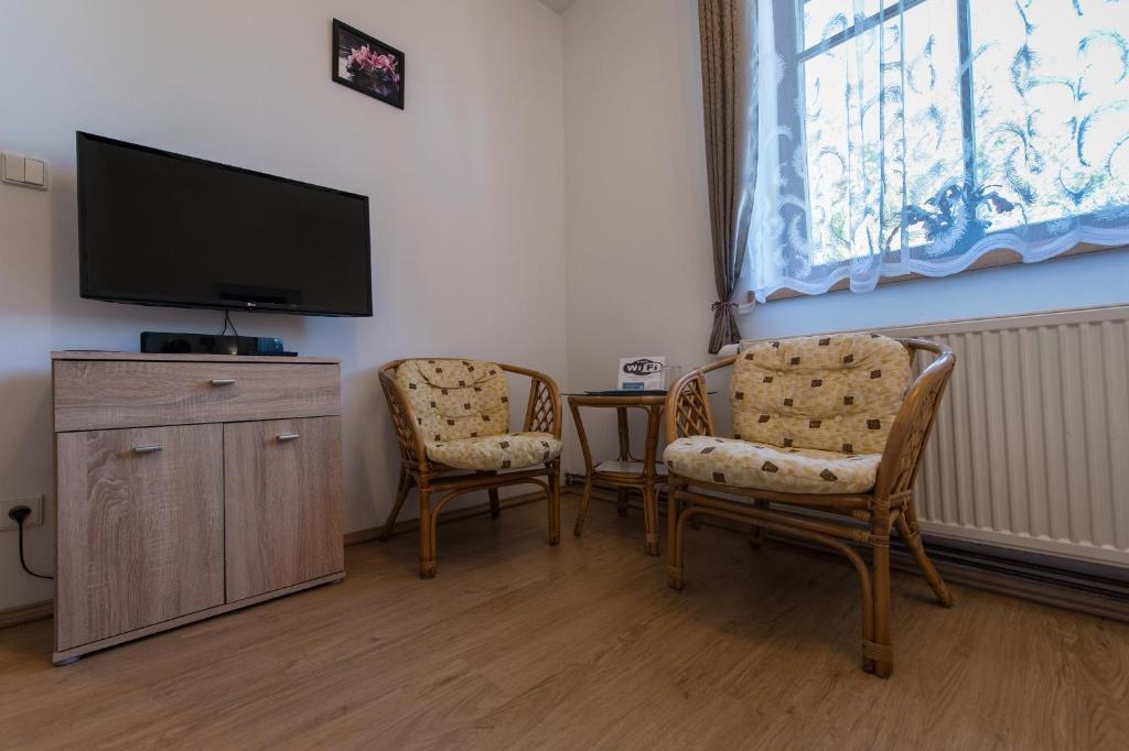 TV a/nebo společenská místnost v ubytování Penzion Na Špičáku
