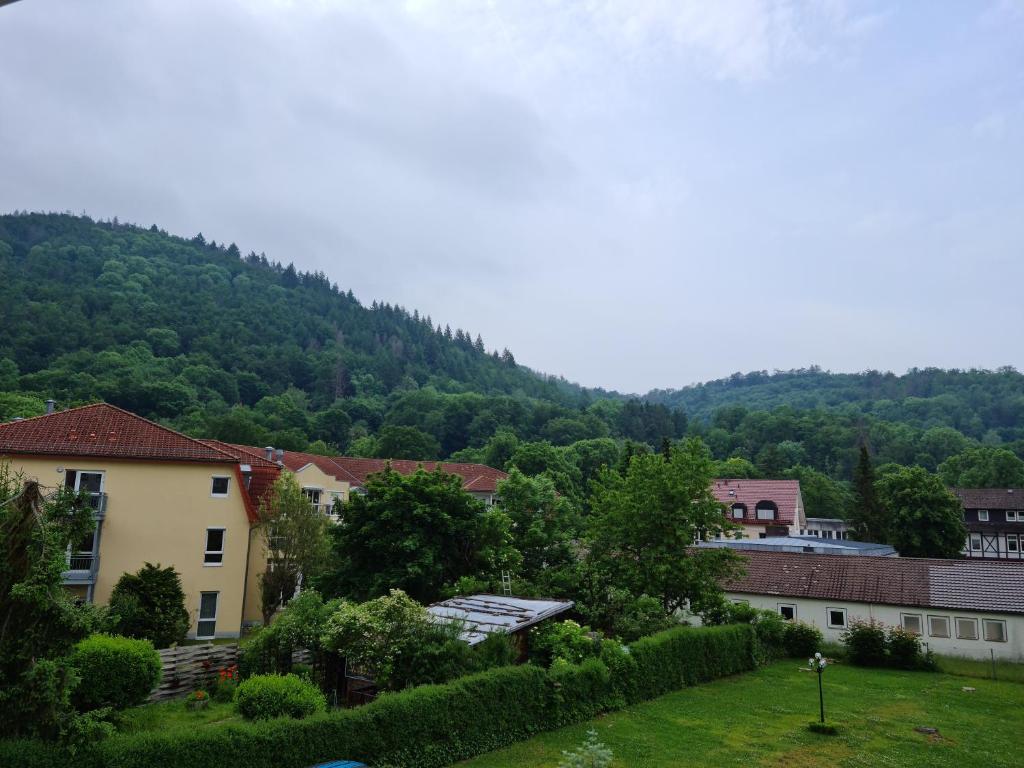 Pension Kreihe im Harz - Habitación Individual Económica