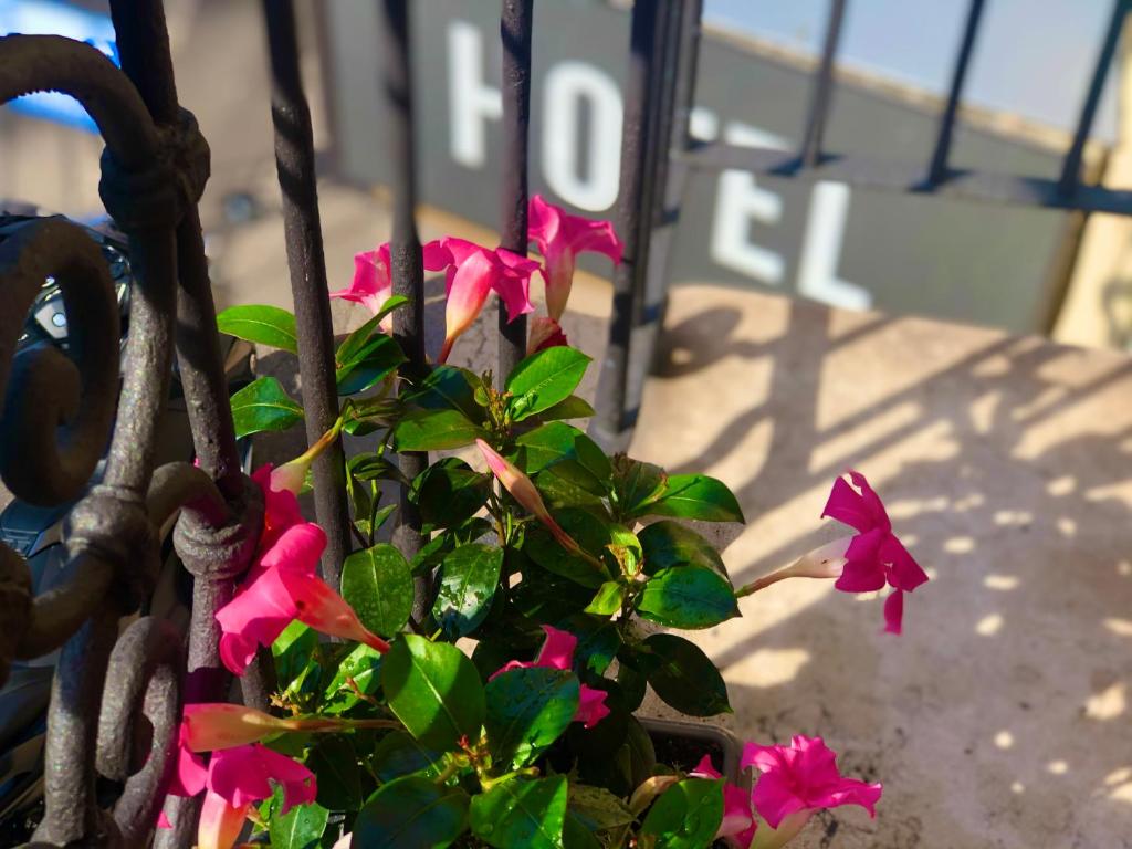 Hotel Sanmicheli - Resim 42