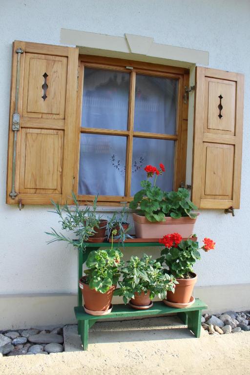 Fotografie z fotogalerie ubytování Sleeping in Village v destinaci Svečina