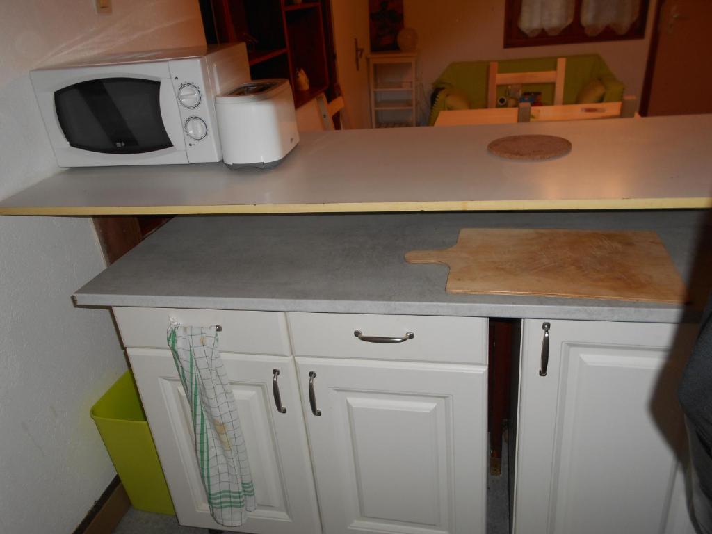 a kitchen counter with a microwave on top of it at La cour des meuniers - le Froment et l&#39;Epeautre in Kaysersberg