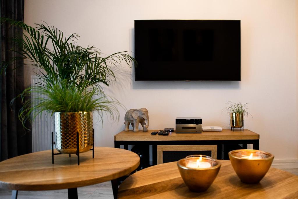 TV a/nebo společenská místnost v ubytování APARTAMENT BIESZCZADY