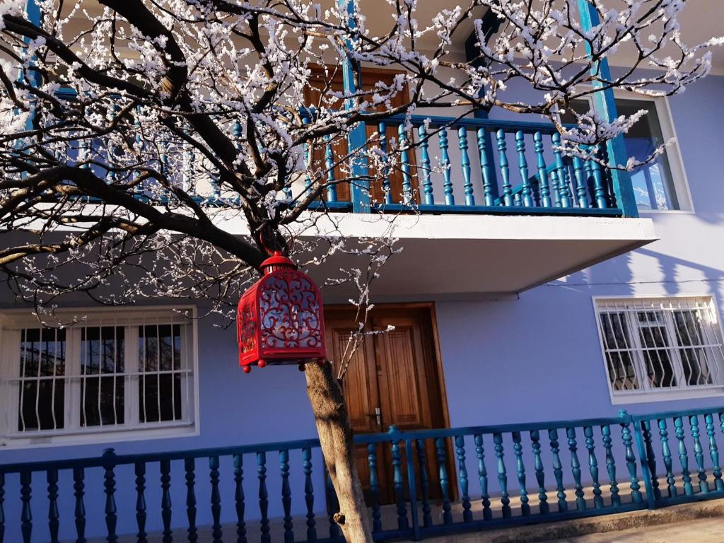 una lanterna rossa appesa ad un albero di fronte a una casa di Guest House "Old House" a Telavi