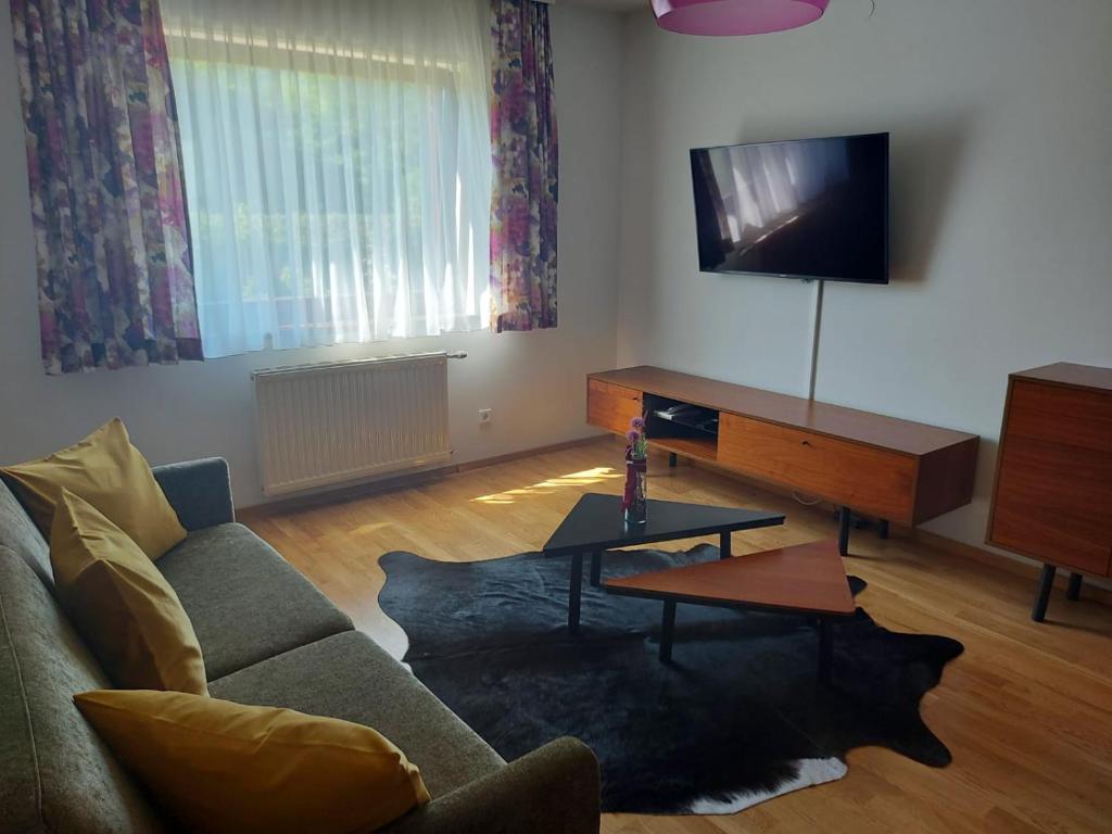 Televízia a/alebo spoločenská miestnosť v ubytovaní Appartementhaus Lisa