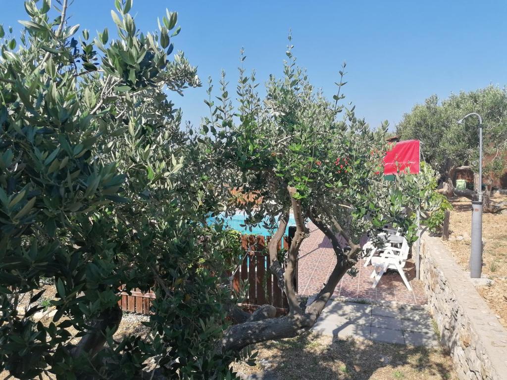 een tuin met een appelboom en een tafel en stoelen bij Camp Kopito in Hvar