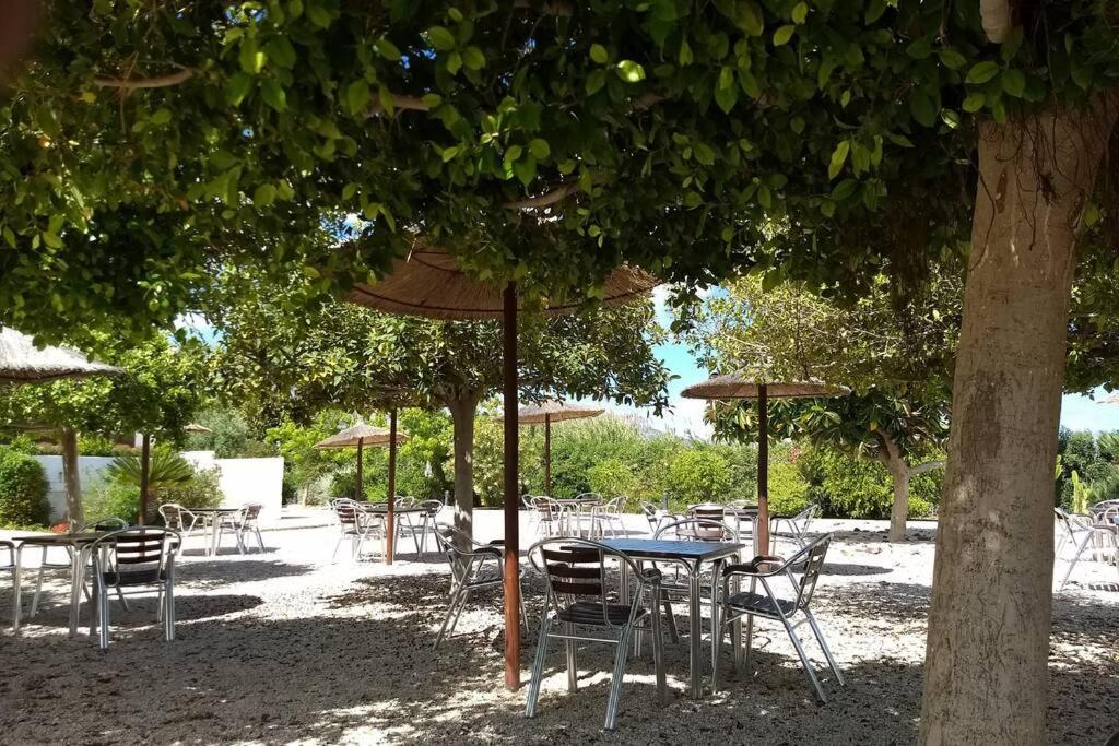 Fotografia z galérie ubytovania Beachfront Apt! AC - Pool - Parking v destinácii Altea