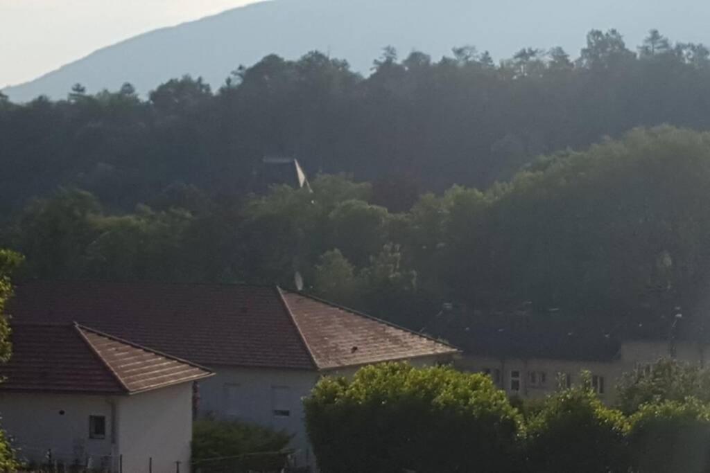 a view of a house with trees in the background at Appartement dans le Massif du haut Jura in Dortan