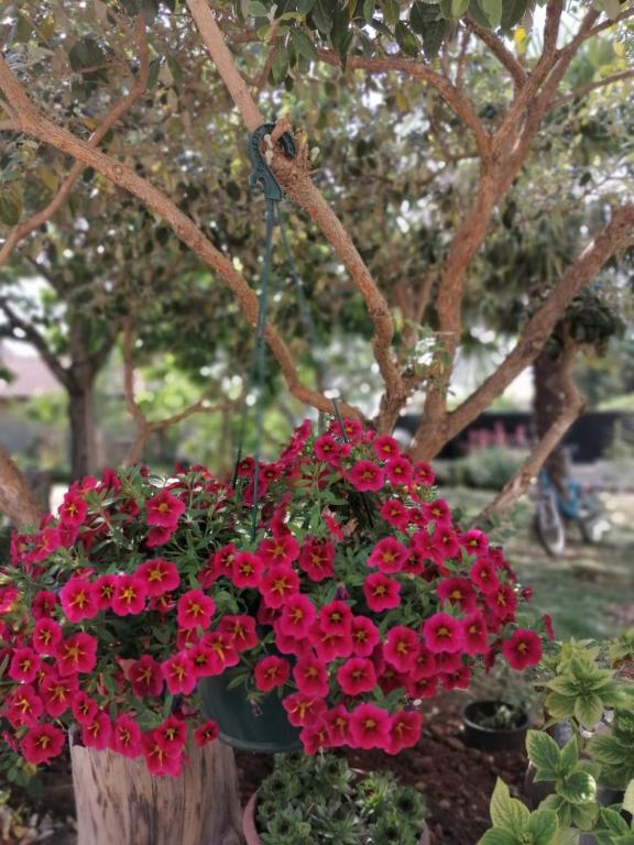 Lovely Sea View House in Malinska Island Krk - 12