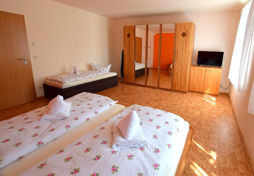 ホーンシュタインにあるCosis Ferienwohnungのベッド2台と鏡が備わるホテルルームです。