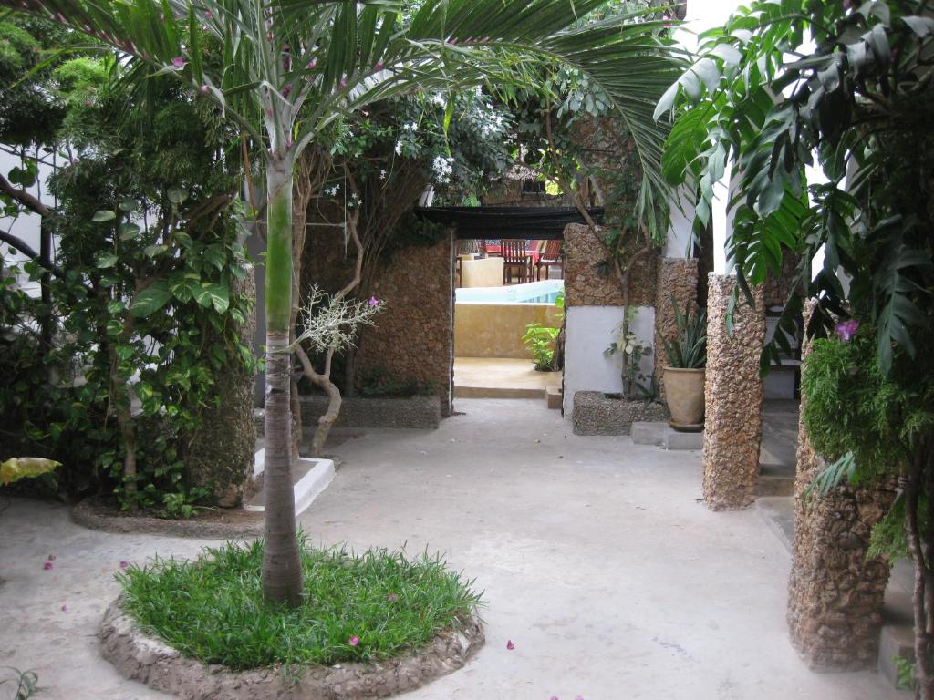 Zahrada ubytování Jannat House
