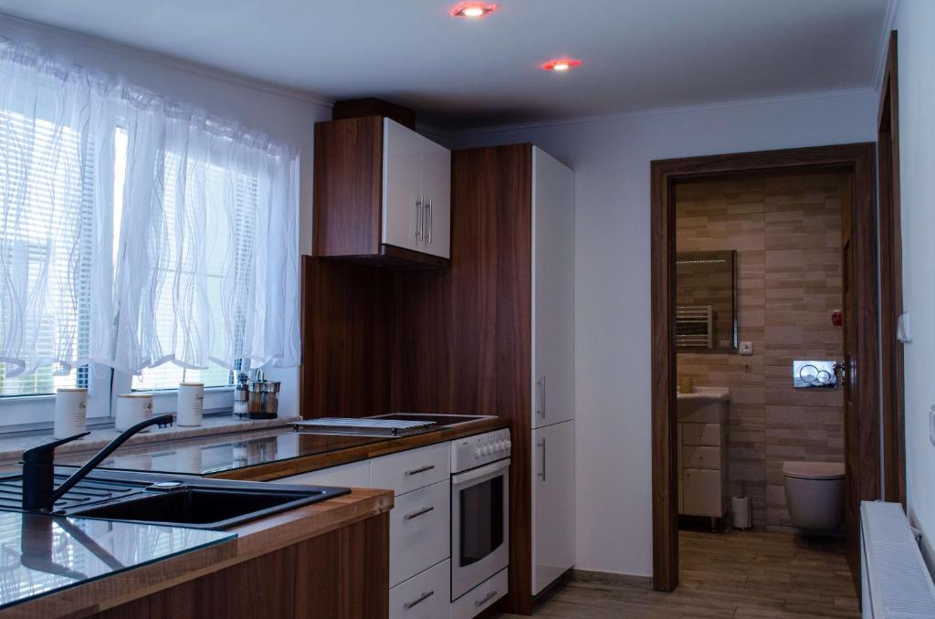 Kuchyň nebo kuchyňský kout v ubytování Apartmány LIZARD