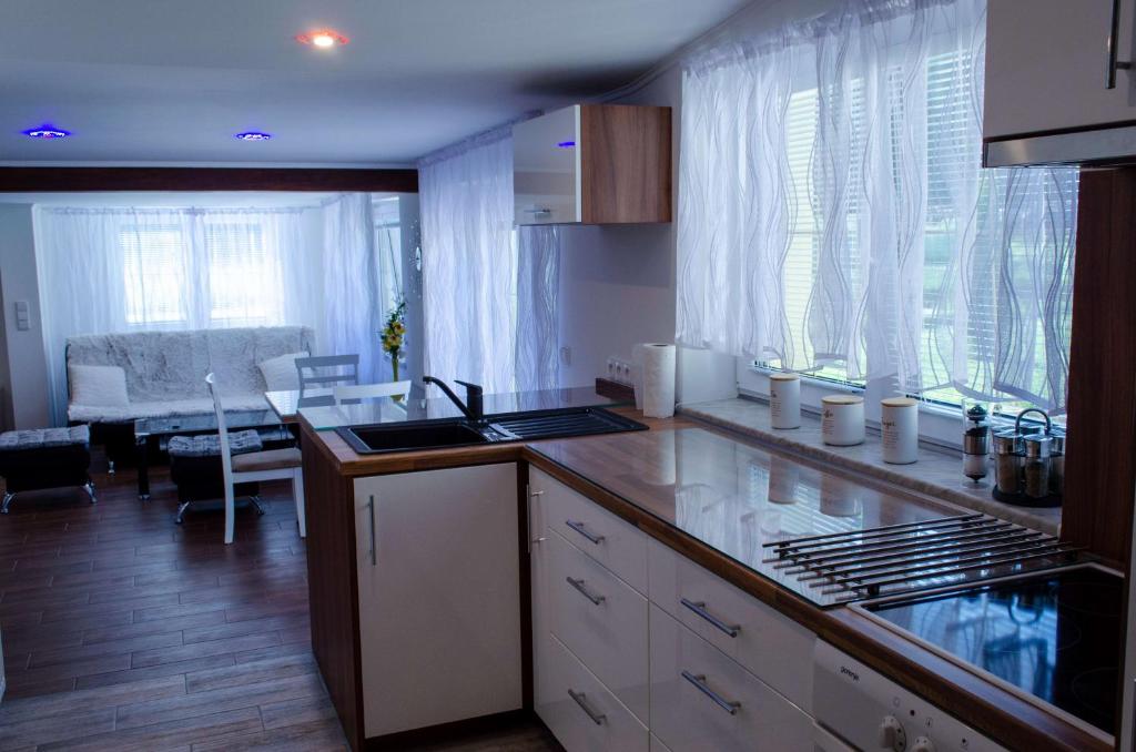 Kuchyň nebo kuchyňský kout v ubytování Apartmány LIZARD