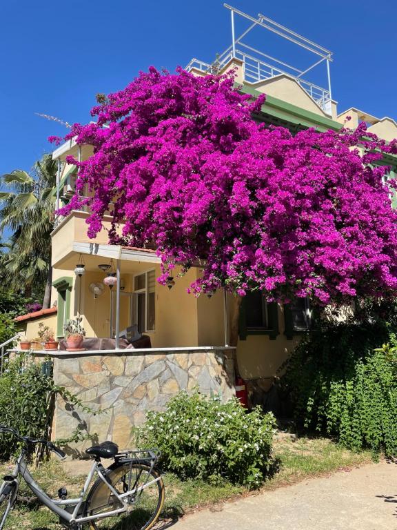 a bike parked in front of a house with purple flowers at VILLA KONAK CLUB in Alanya