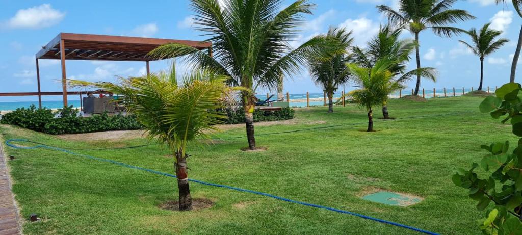  Praia do Muro Alto (Nui Supreme)