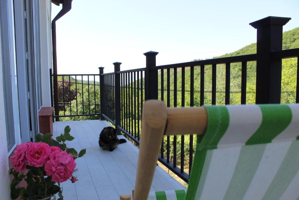 - un chat assis sur la terrasse couverte d'un balcon dans l'établissement The nature, à Sighnaghi