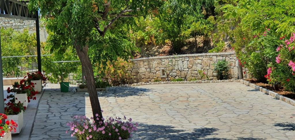 a stone courtyard with a tree and flowers at Sivota Apartments in Syvota