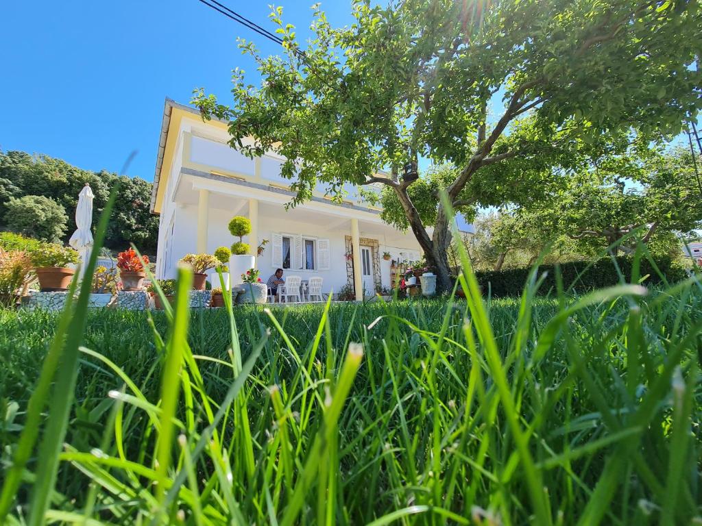 Vonkajšia záhrada v ubytovaní Apartmani i sobe Jusić