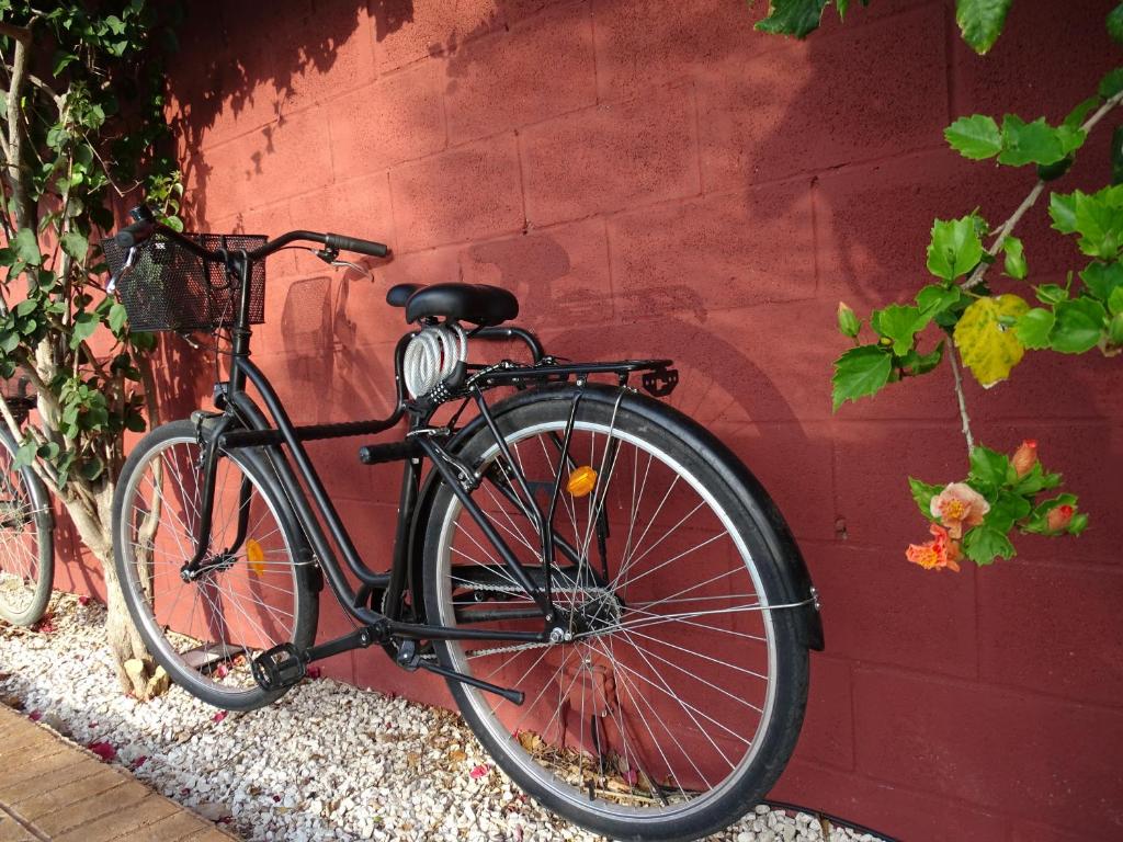 Jazda na bicykli v okolí ubytovania Samadhi Home