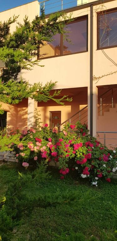 Zahrada ubytování Villa Persik
