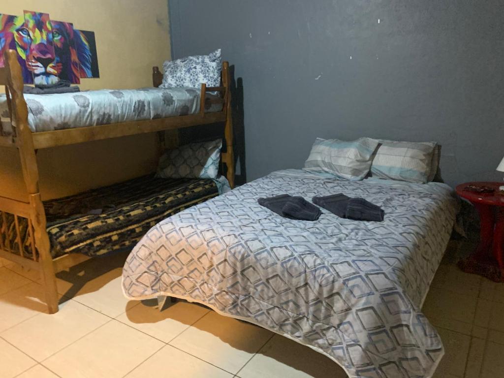  Casa do Husky